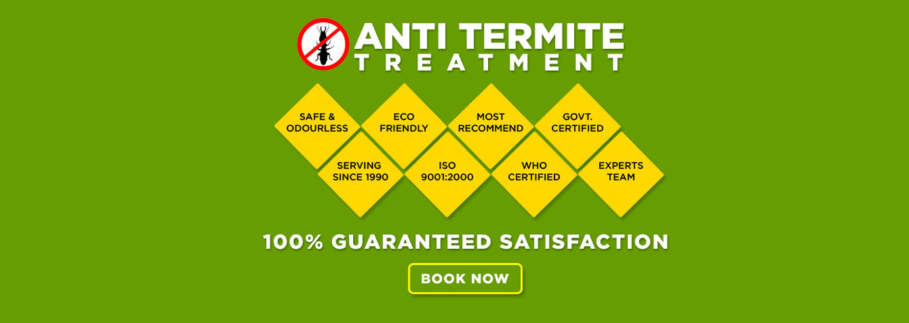 Ant Termite Treatment - Termite Control Services - Upto 50% Off