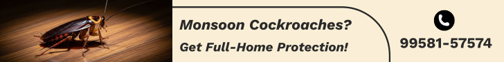 Monsoon Cockroaches? Get Full-Home Protection in Gurgaon with Expert Cockroach Treatment
