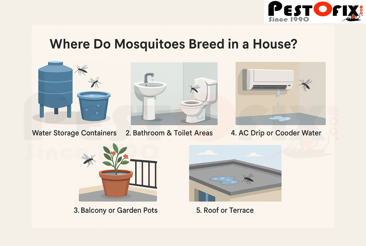Common Mosquito Breeding Places in Home - Water Containers, Bathroom, Garden Pots, AC Water, and Terrace