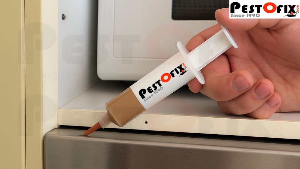 Pestofix Cockroach gel bait treatment in Gurgaon kitchen