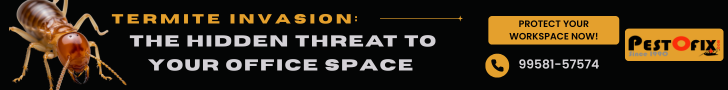 Protect your Delhi office building from termites — contact experts today!