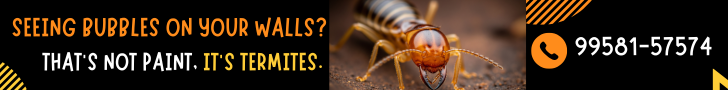 Book expert termite inspection in Gurgaon today