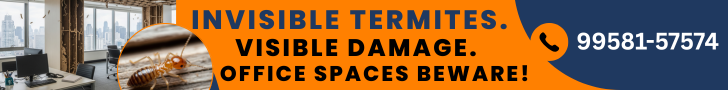 Protect your Gurgaon skyscraper from termites — contact experts today!