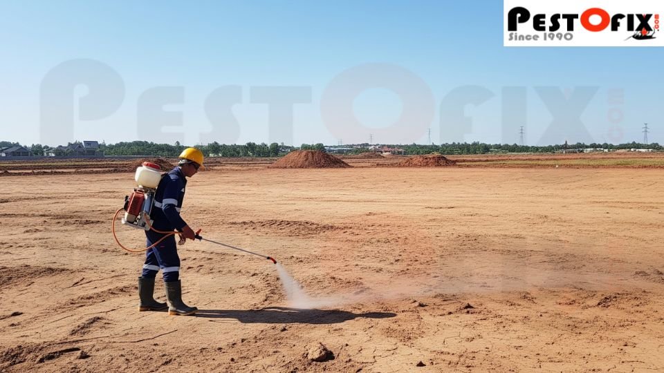 Pre-Construction Termite Treatment in Delhi, Gurgaon, and Noida for Large Construction Sites