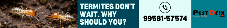 🚫 Termites Don’t Wait. Why Should You? Secure Your Building Now