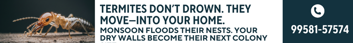 Termites Don’t Drown. They Move—Into Your Home. Book a Monsoon Termite Checkup Now with Pestofix