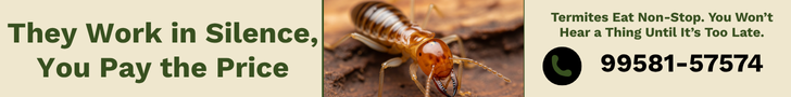 They Work in Silence, You Pay the Price – Book Your  Termite Inspection Today with Pestofix