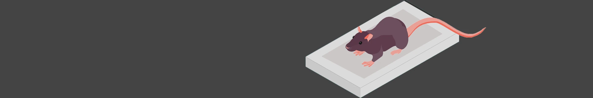 Glue trap and mechanical rodent trapping for homes by Pestofix