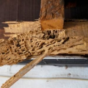 Damaged furniture icon