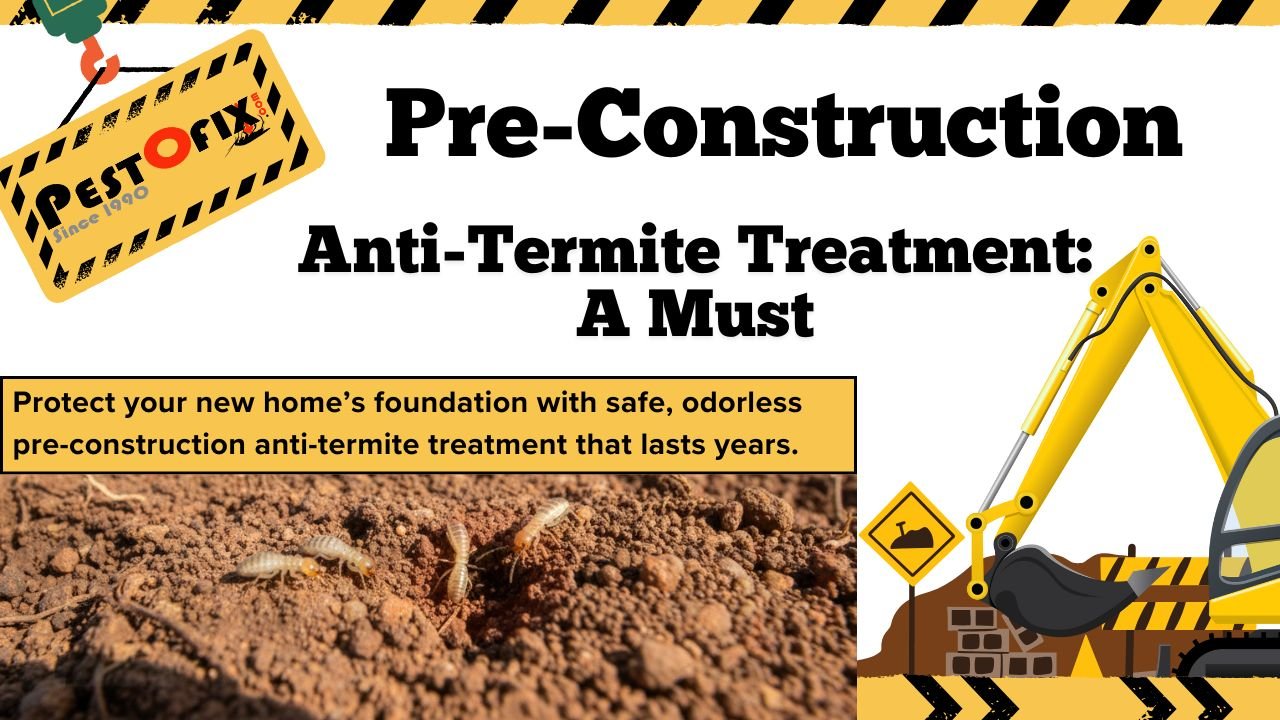 Pre-Construction Anti-Termite Treatment: A Must